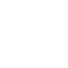 Ptsg Logo